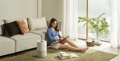 Should You Buy the Air Purifier 4 in 2026? A Deep Dive